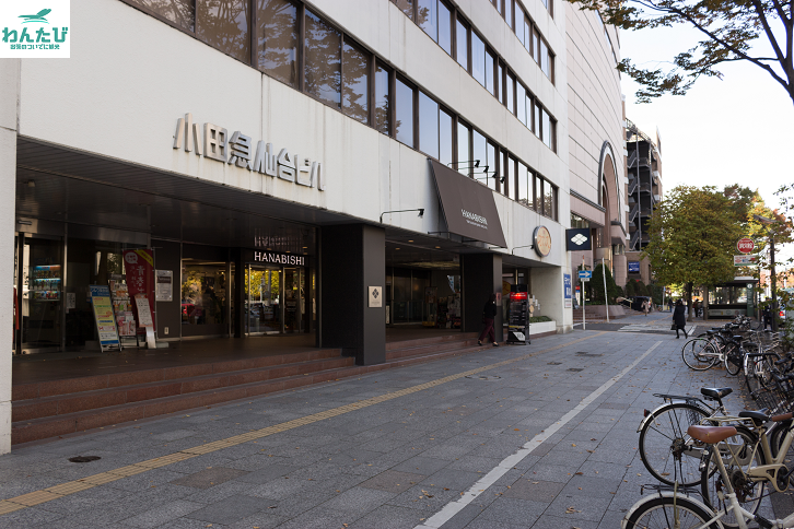 仙台市内