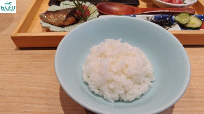 象印食堂のご飯「基準」
