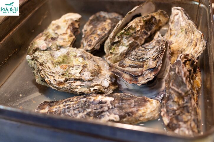 海平商店がんがん焼き