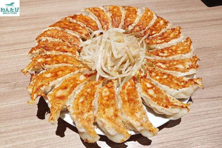 石松餃子の車盛り