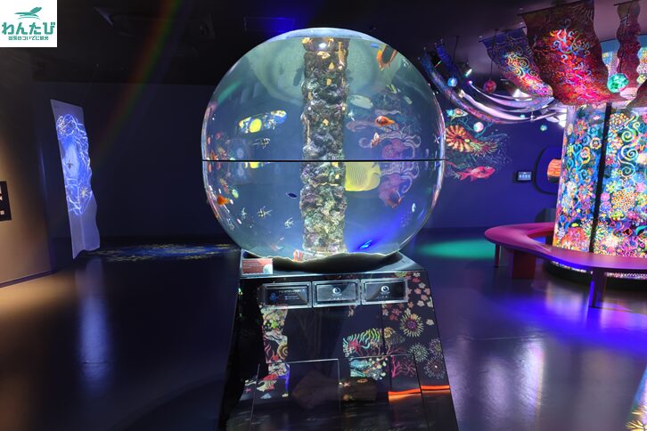 広島もとまち水族館金魚鉢